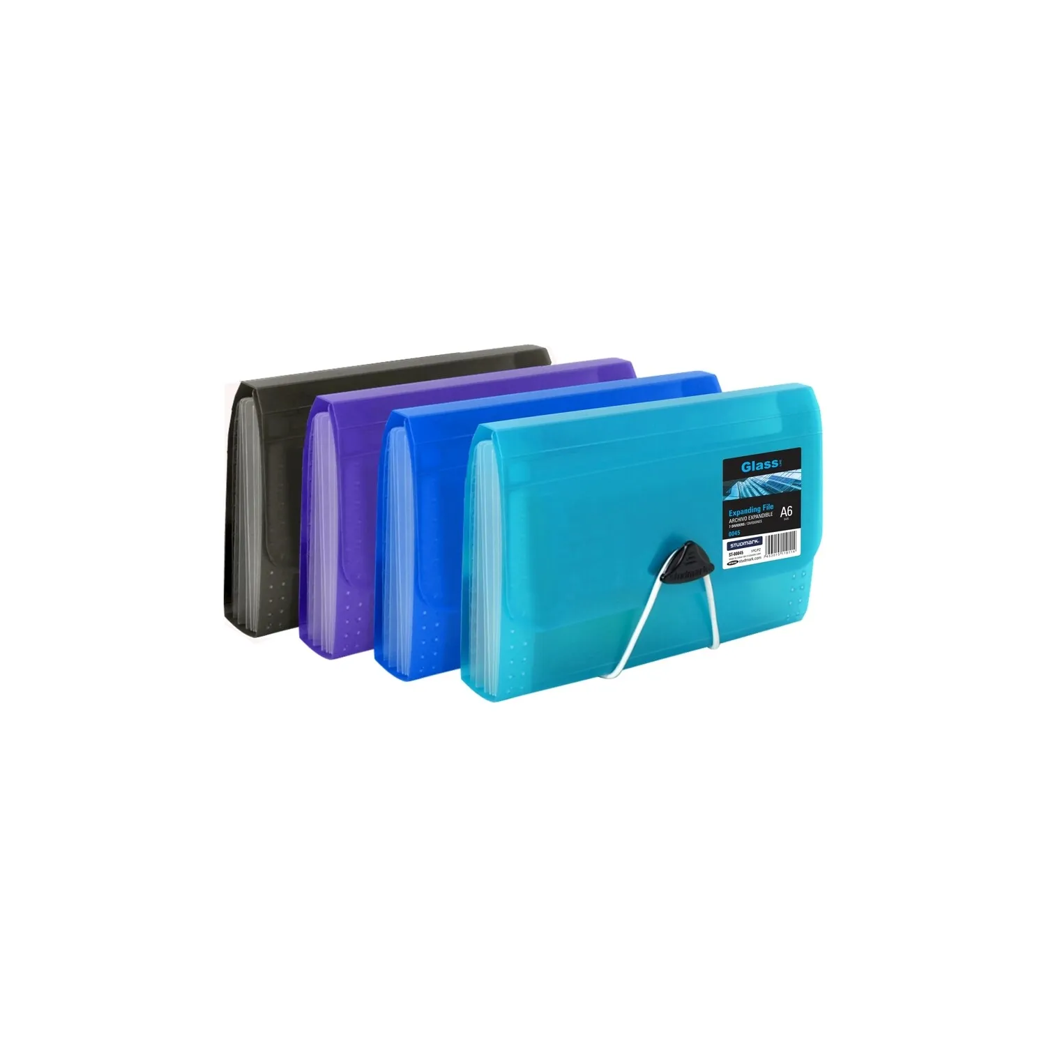 EXPANDING FILE, CHECK SIZE, 12 DIV., GLASS